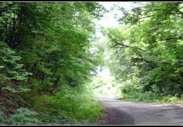 Trail On foot Tokaj - P■ (Tarcal) - Photo