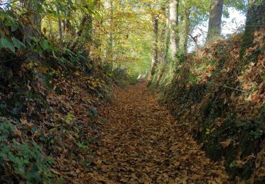 Tour Wandern Laillé - Laillé, Roche qui chome - Photo