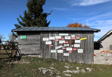 Excursión A pie Gemeinde Hohenberg - Wanderweg 31 - Photo