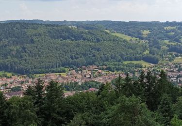 Tour Wandern Le Val-d'Ajol - 10-06-23 Val d'Ajol, Feuillée Dorothée, Feuillée Nouvelle - Photo