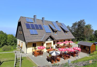 Percorso A piedi Gemeinde Kaumberg - Klammhöhe - Schöpfl Schutzhaus - Photo