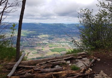 Trail Walking Montaud - La Dent de Moirans - Photo