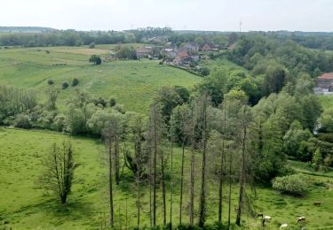 Tocht Stappen Beaumont - Tamalous 2023.05.18 - Photo