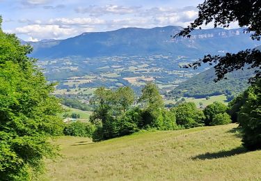 Trail Walking Entrelacs - cessens tours cesar - Photo
