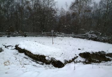 Percorso A piedi Sconosciuto - Costești - Vf. Porumbelu Mare - Vf. Godeanu - Photo