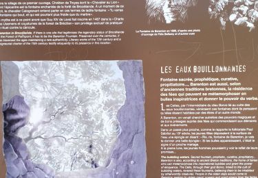Trail Walking Paimpont - 35_Brocéliande_barenton_3kmD50m - Photo