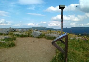 Tocht Te voet Vernířovice - Lesní ekostezka Švagrov - Photo