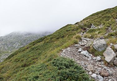 Randonnée A pied Vallorcine - Mont Buet - Photo