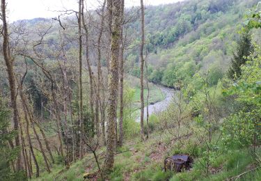 Excursión Senderismo Bouillon - GR16 SEMOIS 3 : de Botassart à Vresse-sur-Semois - Photo