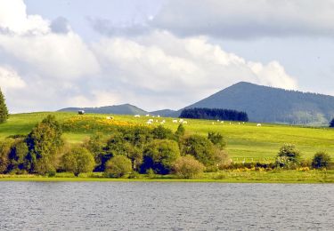 Tocht Stappen Pulvérières - Pulverieres_Etang_Grand - Photo