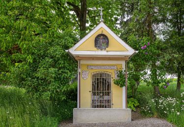 Tour Zu Fuß Bad Wimsbach-Neydharting - Ins Land eini schaun - Photo