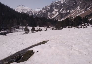 Trail Walking Cauterets - 2022-03-15 - raquette vallée du macadam-Cauteret - Photo