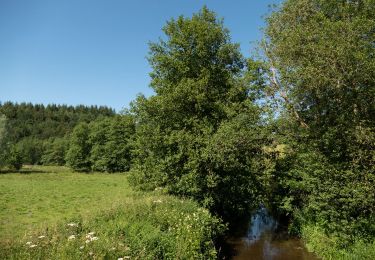 Randonnée Marche Tenneville - Wyompont - Promenade de la chaussée romaine (17) - Photo