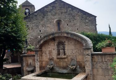Trail Walking Montferrer - Montferrer . El Castel . Puig de Vilafort -  retour par la piste  - Photo