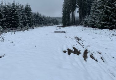 Randonnée Marche Libin - Neige  - Photo