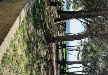 Excursión Senderismo La Seyne-sur-Mer - La Seyne 20240410 - Photo