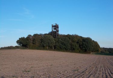 Tour Zu Fuß Sonsbeck - Sonsbeck Rundweg A2 - Photo