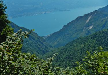 Percorso A piedi Limone sul Garda - Agostino Tosi - Photo