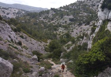 Tour Wandern Marseille - tour de la grande candelle - Photo