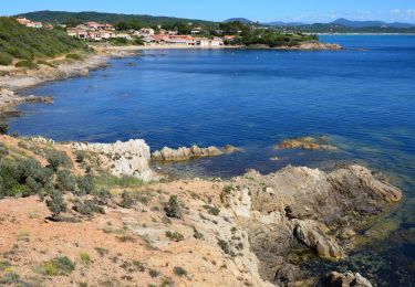 Trail Walking Ramatuelle - Plage de Pampelonne à Plage de L'Escalet - Photo