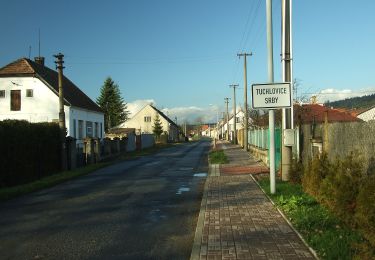 Randonnée A pied Kamenné Žehrovice - [Z] Kamenné Žehrovice - Srby - Photo