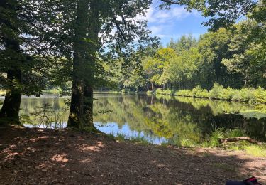 Tour Wandern Uchon - Uchon - D'étang en étang - Photo