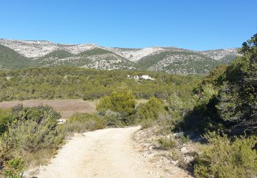 Trail Mountain bike Riboux - RIBOUX 4 NOVEMBRE 2021 - Photo