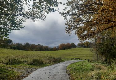 Trail Walking Comblain-au-Pont - oneux . chanbralles . croix septroux . hoyemont . oneux  - Photo