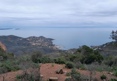 Trail Walking Saint-Raphaël - Estérel avec Hervé et Béa  - Photo