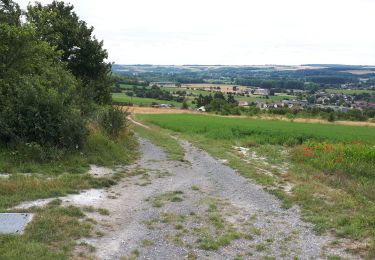 Tour Wandern Eaucourt-sur-Somme - le moulin d'Eaucourt  - Photo