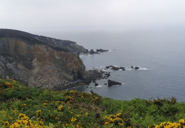 Trail Walking Crozon - Cap de la Chèvre  - Photo