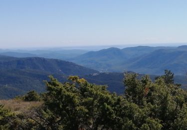 Randonnée Marche Plan-d'Aups-Sainte-Baume - la sainte beaume  - Photo