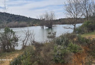 Trail Walking Saint-Martin-de-Londres - Saint-Martin-de-Londres-la-jasse - Photo