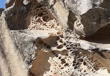 Tour Wandern Évenos - Grès de Ste Anne d'Evenos - Photo