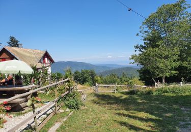 Tour Wandern Lautenbachzell - rdpr G3 240521 Gustiberg apm 2 - Photo