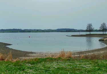 Tour Wandern Froidchapelle - Balade au Lac de la Plate Taille - Photo