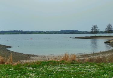 Randonnée Marche Froidchapelle - Balade au Lac de la Plate Taille - Photo