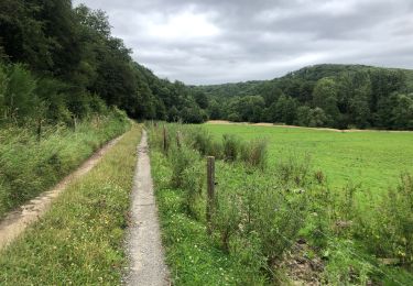 Tour Wandern Doische - Gr2.6 Vodelée -Hastiere  - Photo