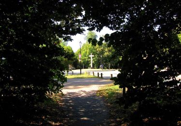 Tour Wandern Compiègne - en forêt de Compiègne_31_les Tournantes du Grand Parc et du Mont du Tremble - Photo