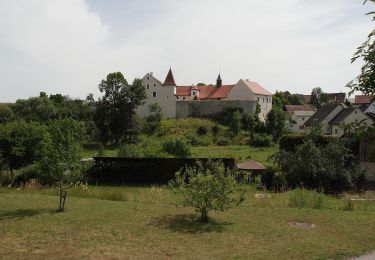 Percorso A piedi Neukirchen bei Sulzbach-Rosenberg - Rundweg Holnstein Blau - Photo