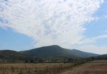 Percorso A piedi Grosseto - A1 San Rabano e Torre Uccellina - Photo