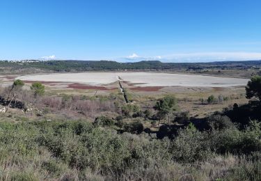 Tour Wandern Saint-Mitre-les-Remparts - Boucle - Etangs entre Fos et Saint Mitre les Remparts - Tour du Pourra - Photo