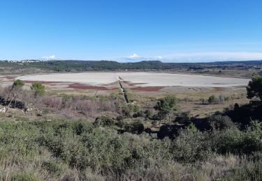 Trail Walking Saint-Mitre-les-Remparts - Boucle - Etangs entre Fos et Saint Mitre les Remparts - Tour du Pourra - Photo