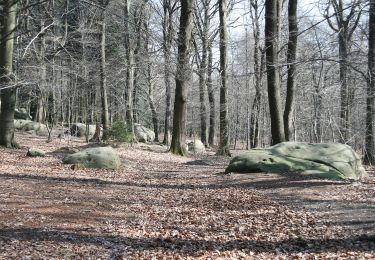 Randonnée A pied Raeren - Rotes Kreuz - Photo