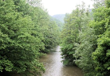 Excursión A pie Gemeinde Heiligenkreuz - Cholerakapelle - Kalkgraben - Photo