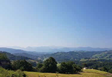 Trail Bicycle tourism Oloron-Sainte-Marie - Oloron - St-Palais - Photo