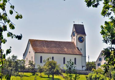 Trail On foot Meilen - Meilen Schiff - Oetwil - Photo