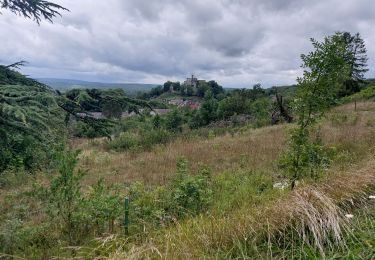 Tocht Stappen Hastière - AGIMON _ Marche Fédérale _ NA _ 05/08/2023 - Photo