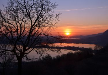 Excursión A pie Galbiate - Sentiero di mezzo 301a: Galbiate - Pian Sciresa - Photo