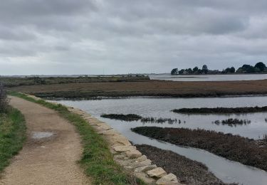 Tocht Stappen Saint-Armel - PR_56_St-Armel_AA_01_Le-Marais-Salant-De-Lasne_Circuit1b_20231222 - Photo